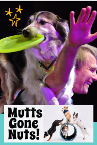 Mutts Gone Nuts! Canine Cabaret